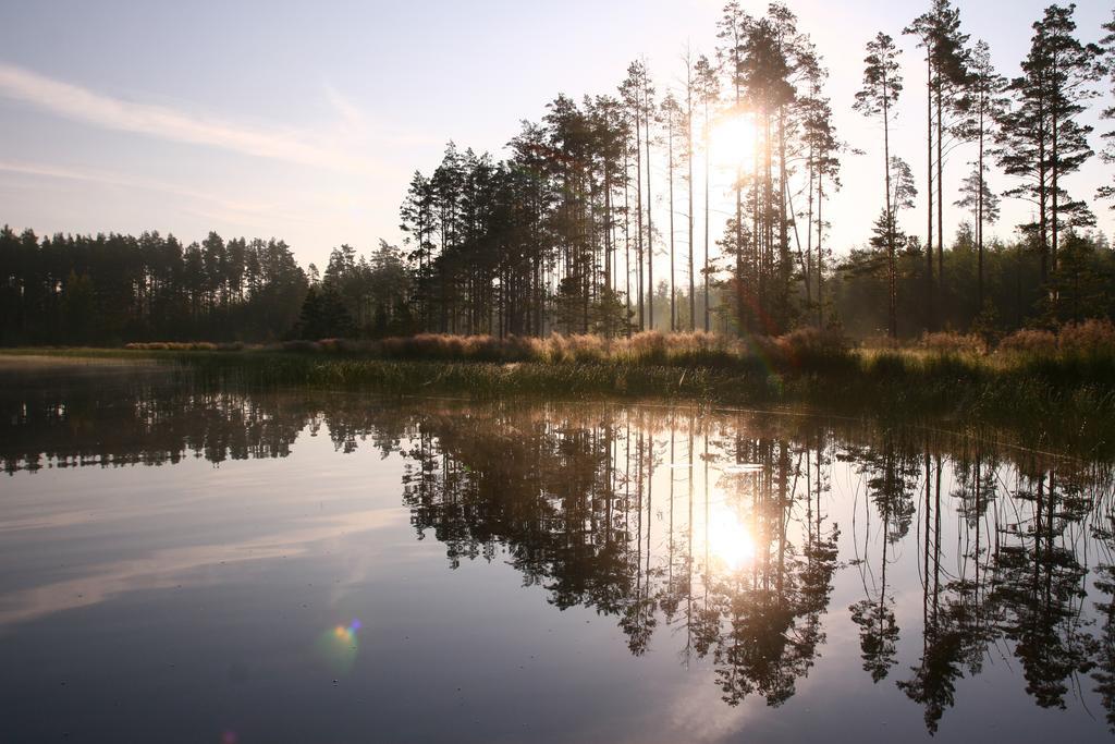 Haudamaee Puhkemaja Villa Meelva Buitenkant foto