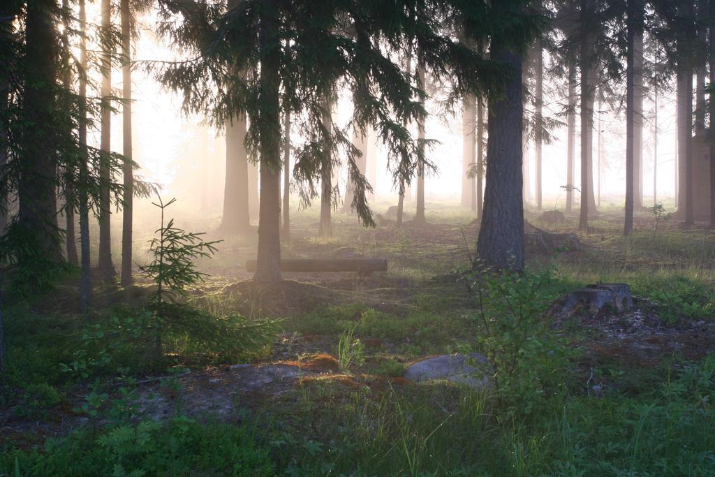 Haudamaee Puhkemaja Villa Meelva Buitenkant foto
