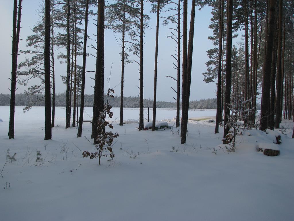 Haudamaee Puhkemaja Villa Meelva Buitenkant foto