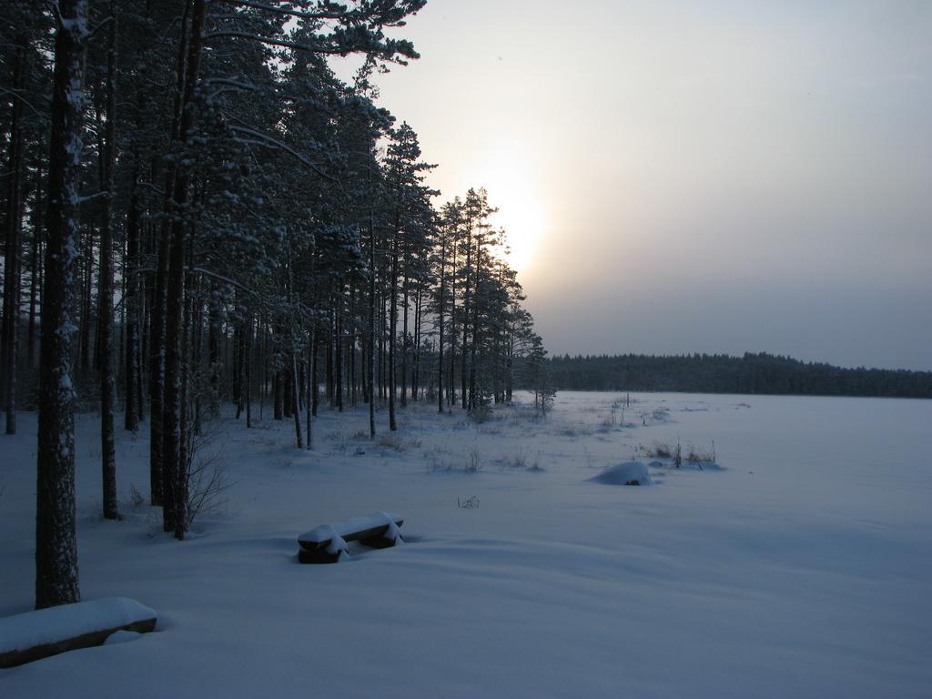 Haudamaee Puhkemaja Villa Meelva Buitenkant foto