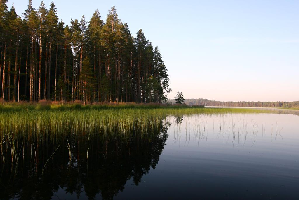 Haudamaee Puhkemaja Villa Meelva Buitenkant foto
