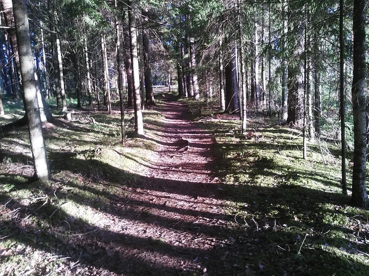 Haudamaee Puhkemaja Villa Meelva Buitenkant foto